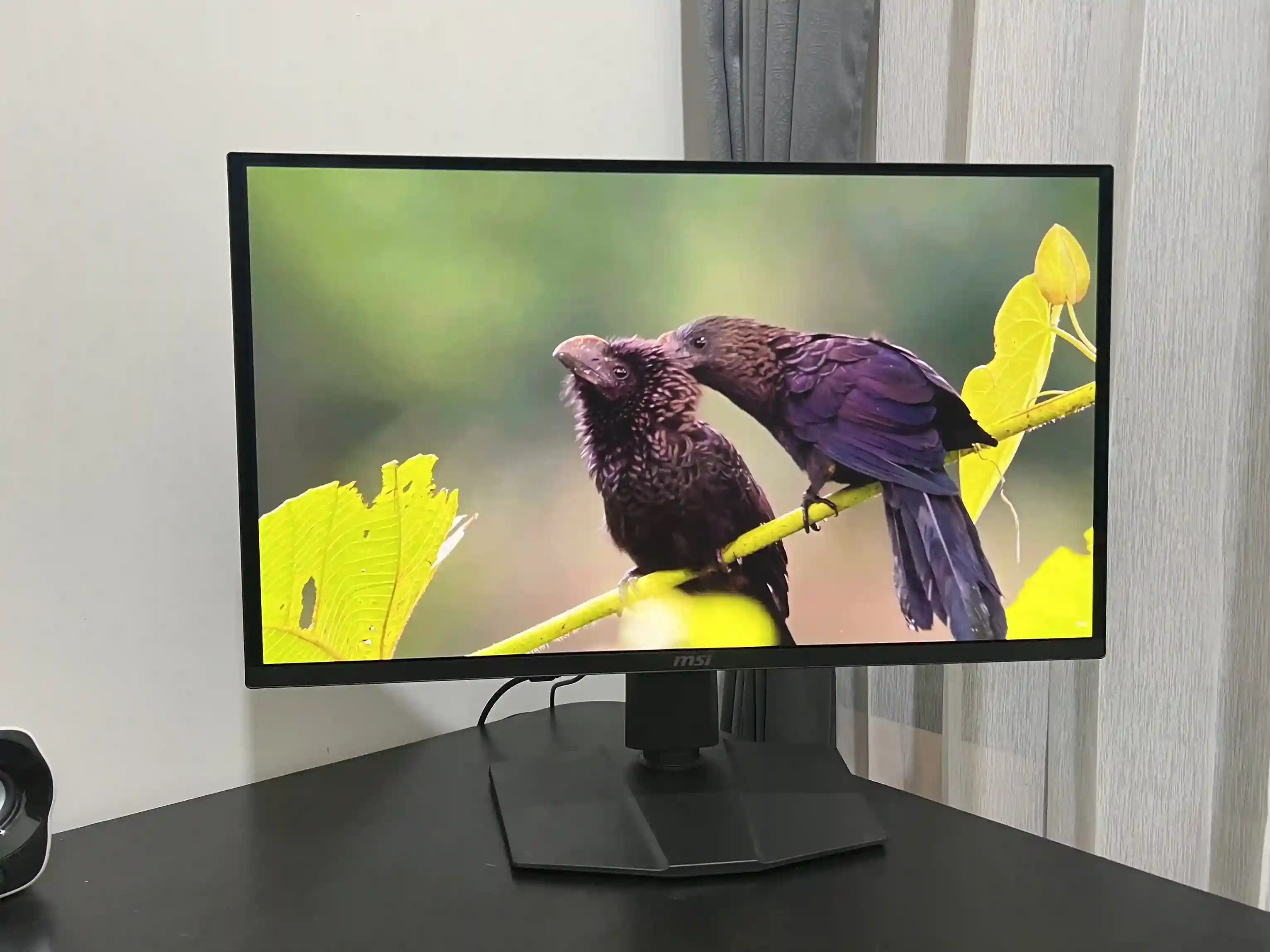 MSI MAG273QP QD-OLED X24 1